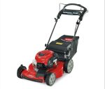 Toro Recycler Personal Pace All-Wheel Drive 7.25 TP Briggs OHV (22″) #21472 - Image 2